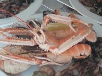 Assiette de la mer pour un mariage de 60 personnes en extérieur