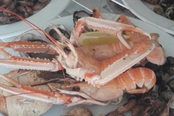 Assiette de la mer pour un mariage de 60 personnes en extérieur